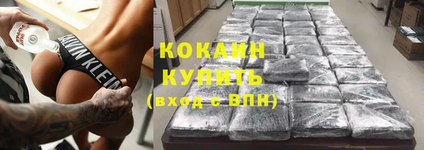 прущие грибы Приозерск