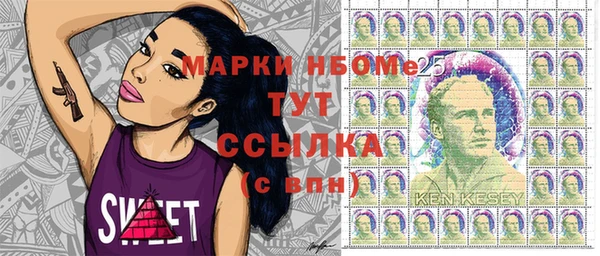 МДПВ Протвино