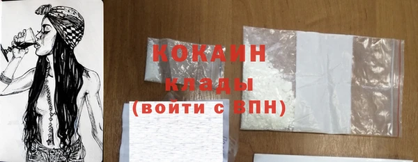 МДПВ Протвино