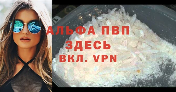 прущие грибы Приозерск