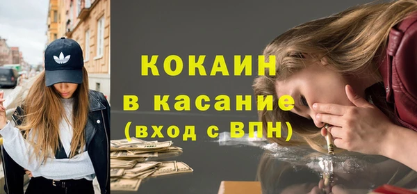 прущие грибы Приозерск