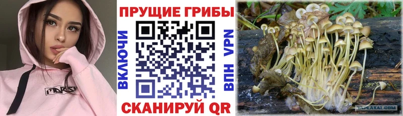 Галлюциногенные грибы прущие грибы  Купить где  Усть-Кут 